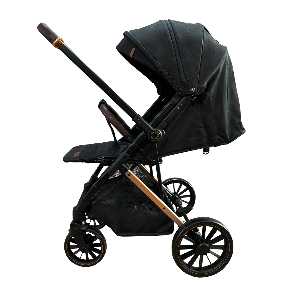 Double sided stroller