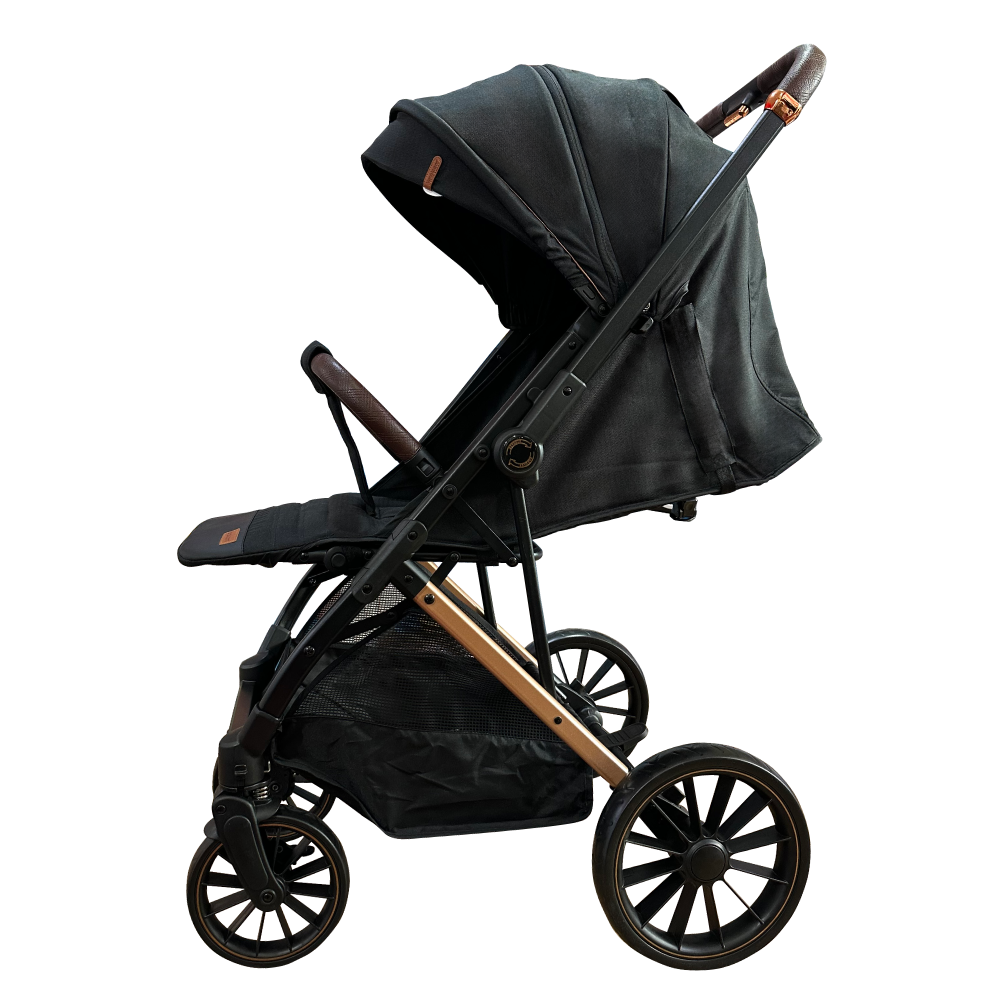 Double sided stroller