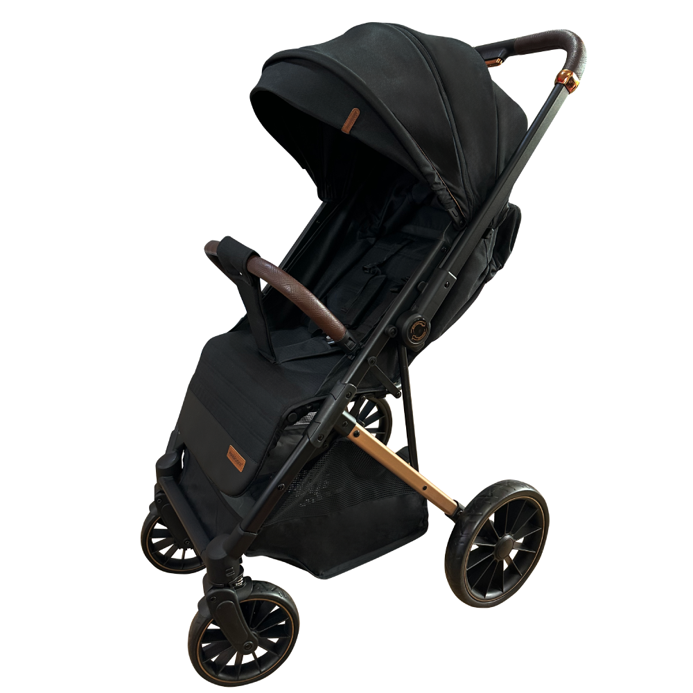 Double sided stroller