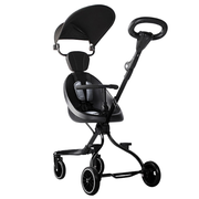2 Way Stroller