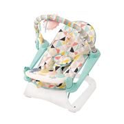 2in1 Baby Bouncer