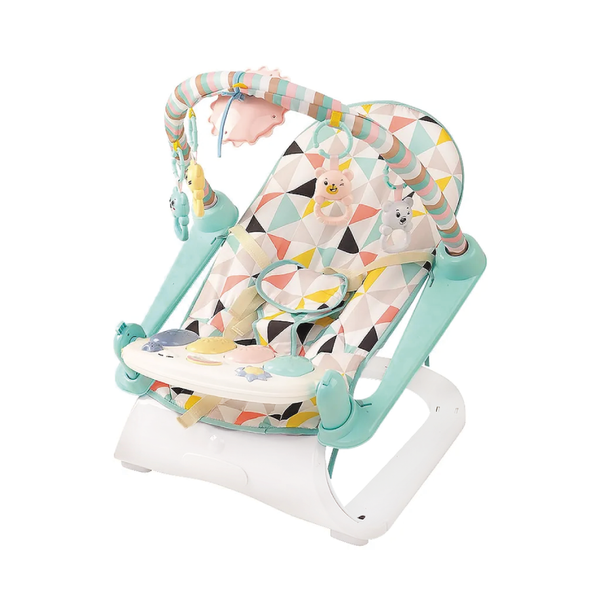 2in1 Baby Bouncer