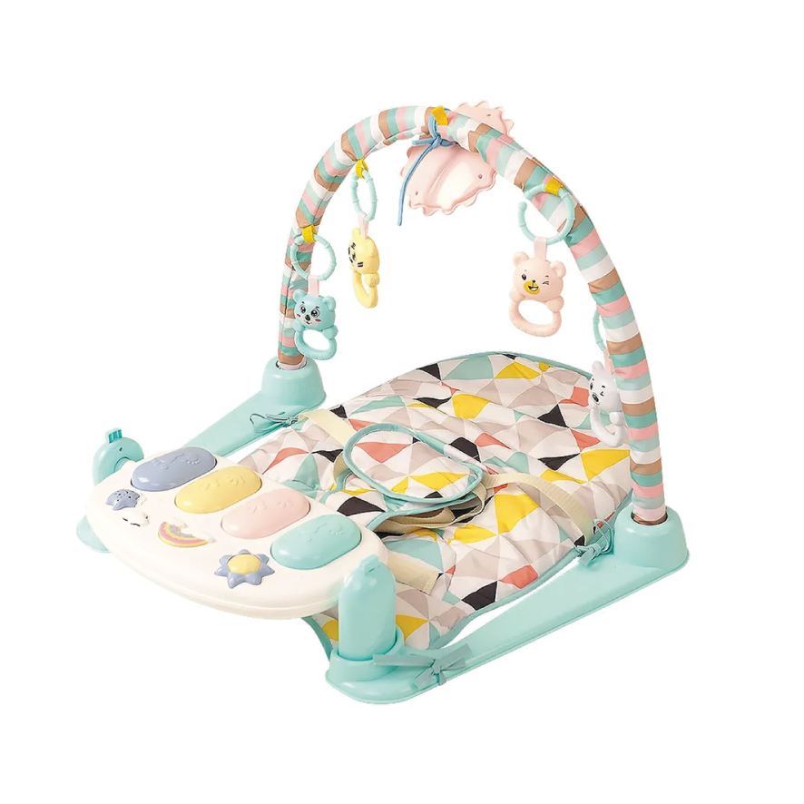 2in1 Baby Bouncer