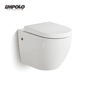 Wall hung toilet