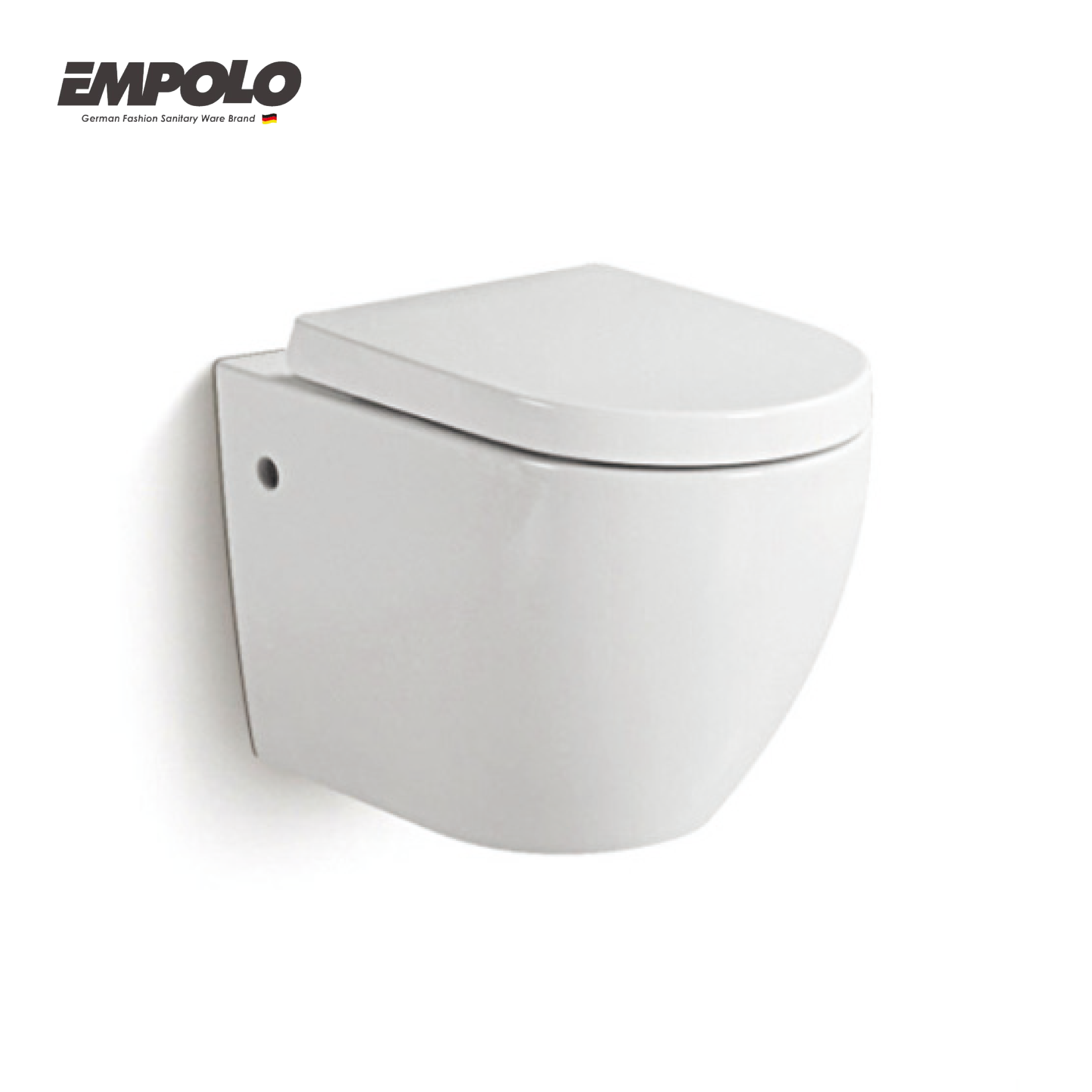 Wall hung toilet
