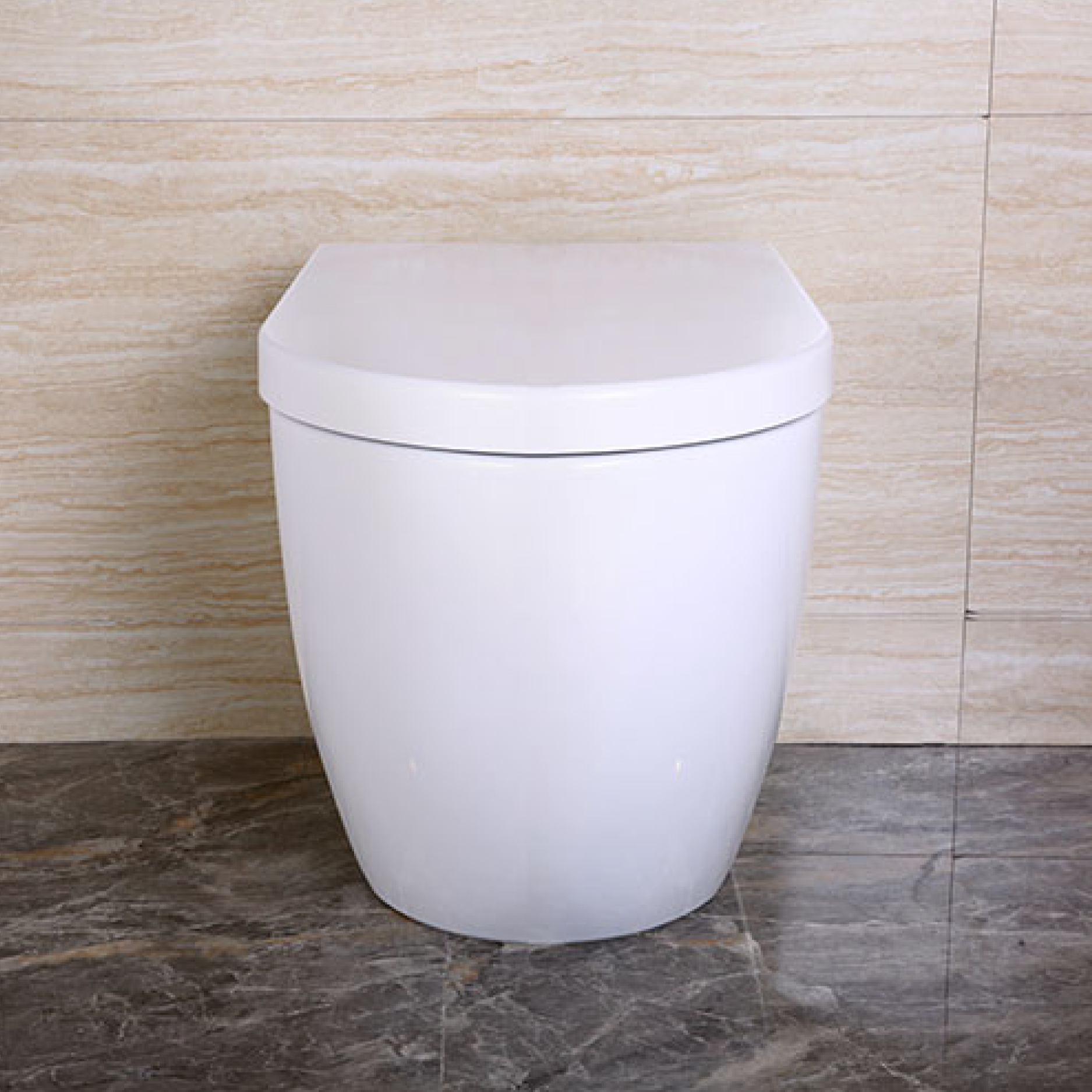 Wall hung toilet