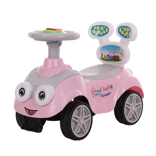 Baby push car