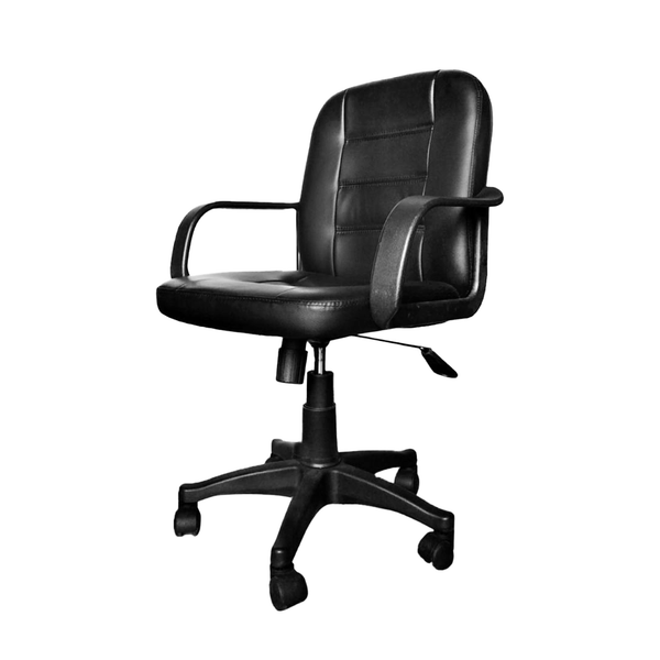 Executive Low back chair