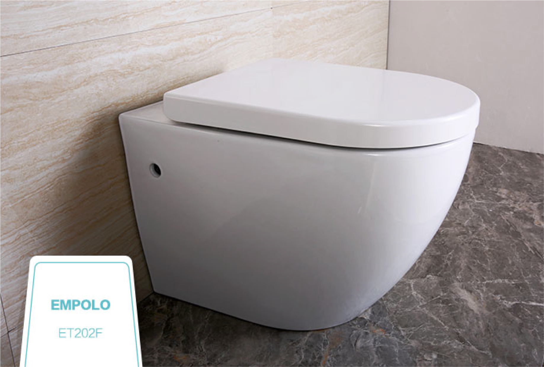 Wall hung toilet