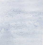 Ceramic Tile - 1x1 ft